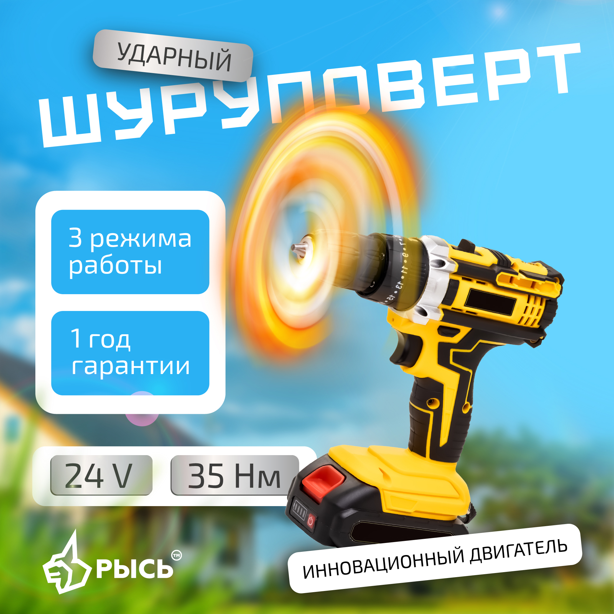 Дрель-шуруповерт РЫСЬ Инструменты для дома CD-24/B/2B
