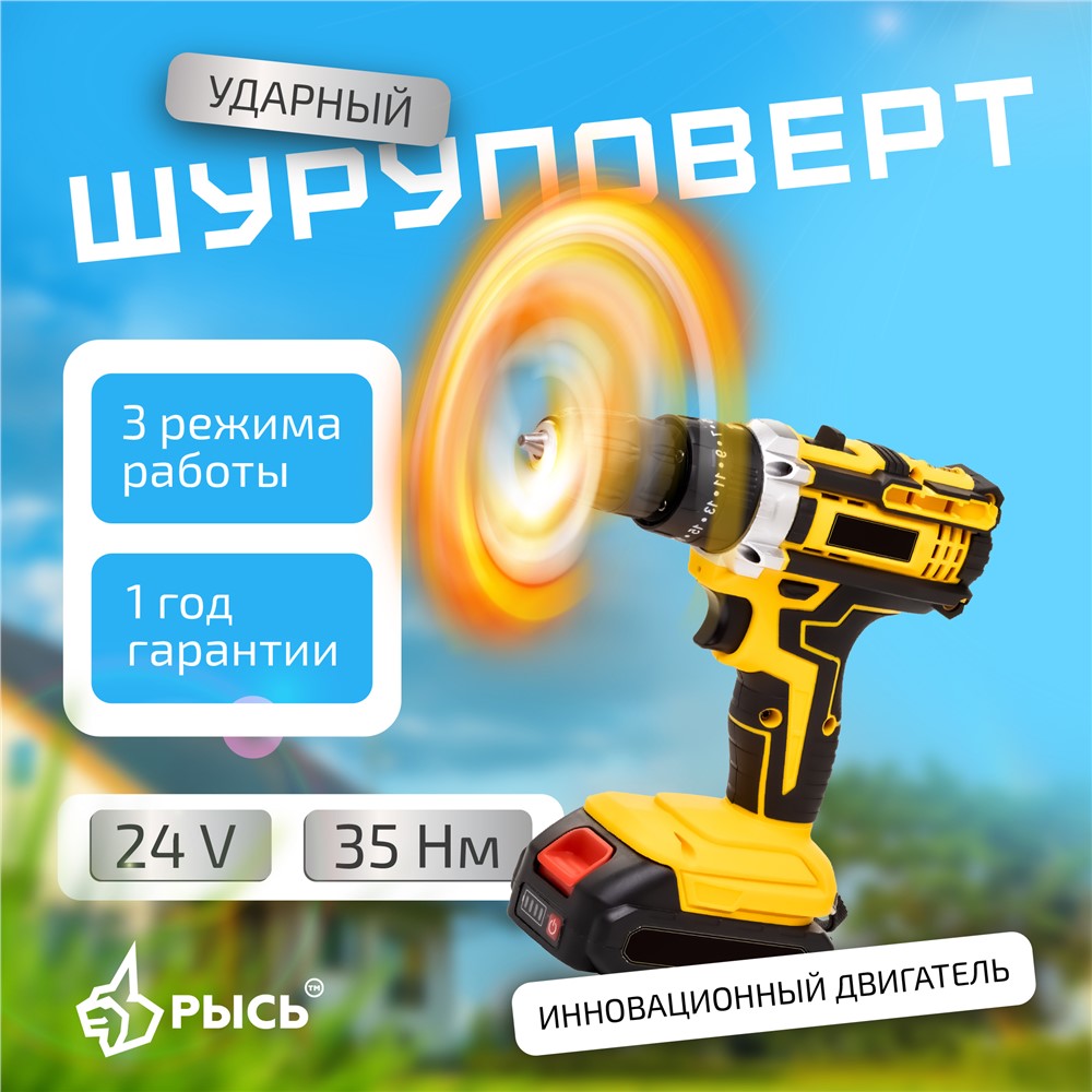 Дрель-шуруповерт РЫСЬ Инструменты для дома CD-24/B/2B